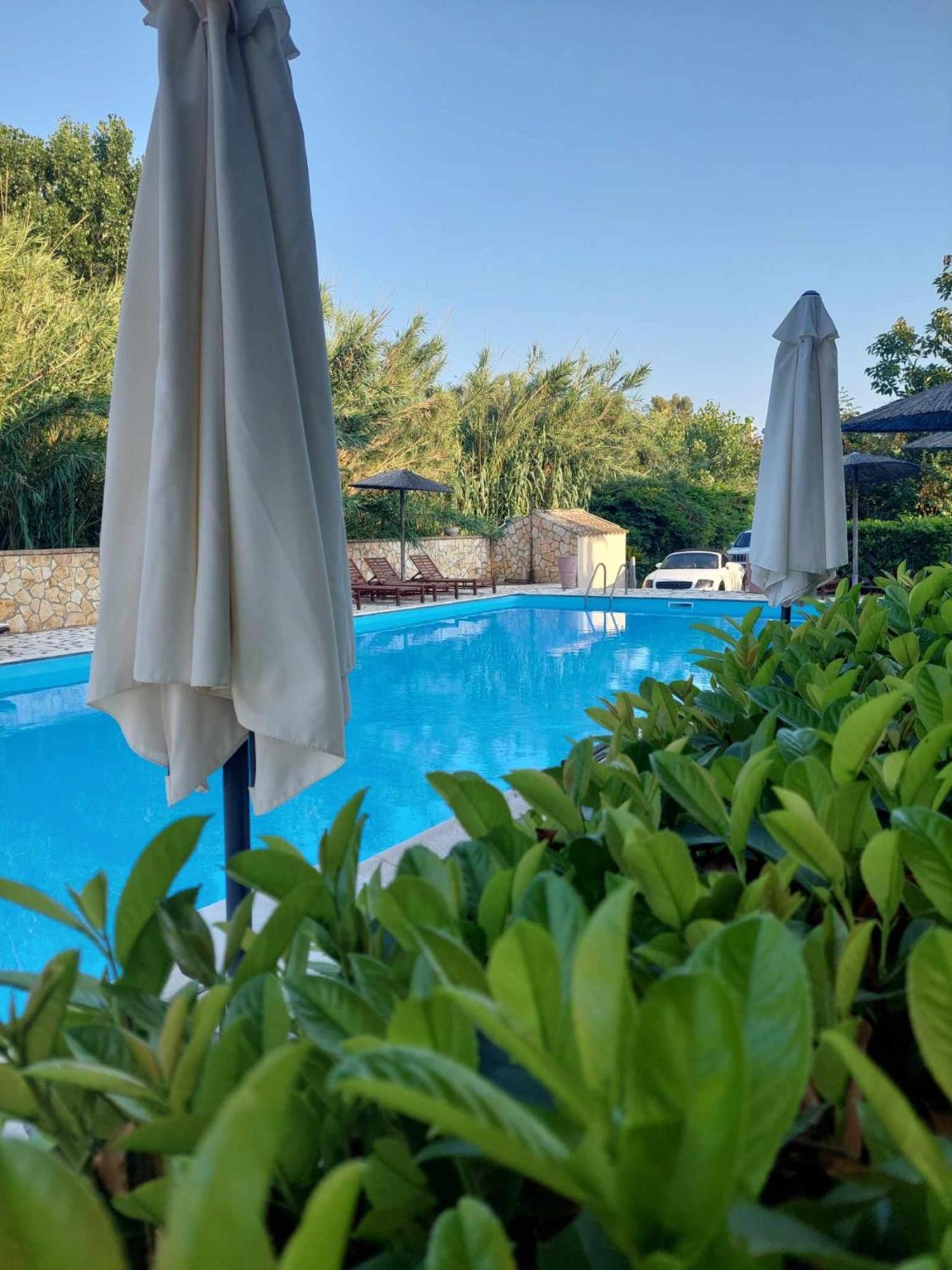 Savvas Apartments Дассия Номер фото