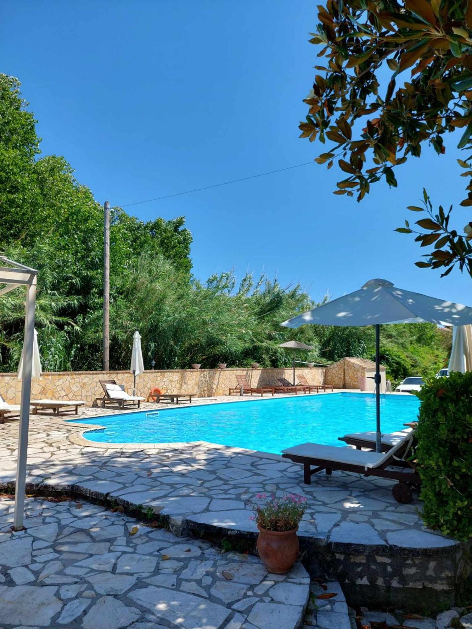 Savvas Apartments Дассия Номер фото